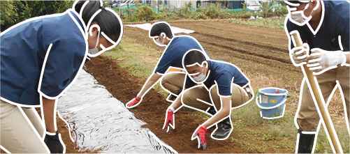 得意と苦手を知って働くことを現実に